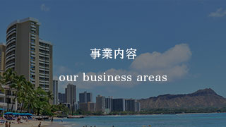 Our Business Areas