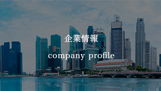 Company Profile