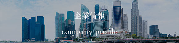 Company Profile