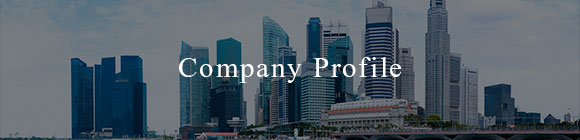 Company Profile