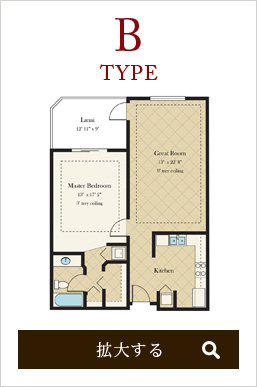 ROOM TYPE B