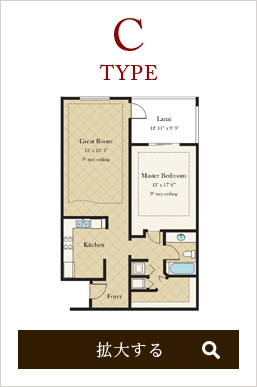 ROOM TYPE C