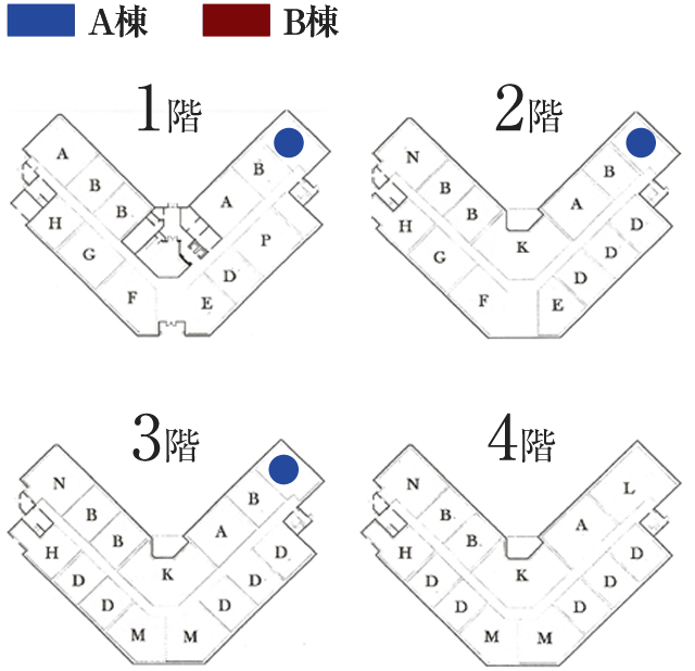 Room Type C