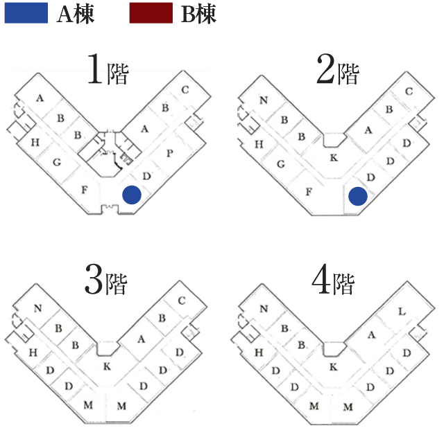 Room Type E