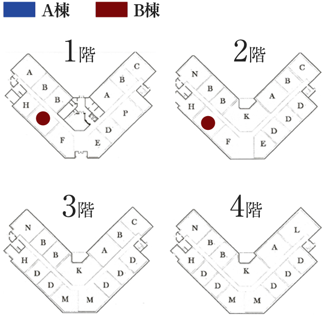 Room Type G