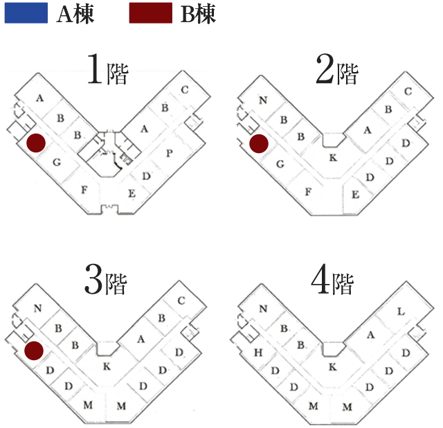 Room Type H1