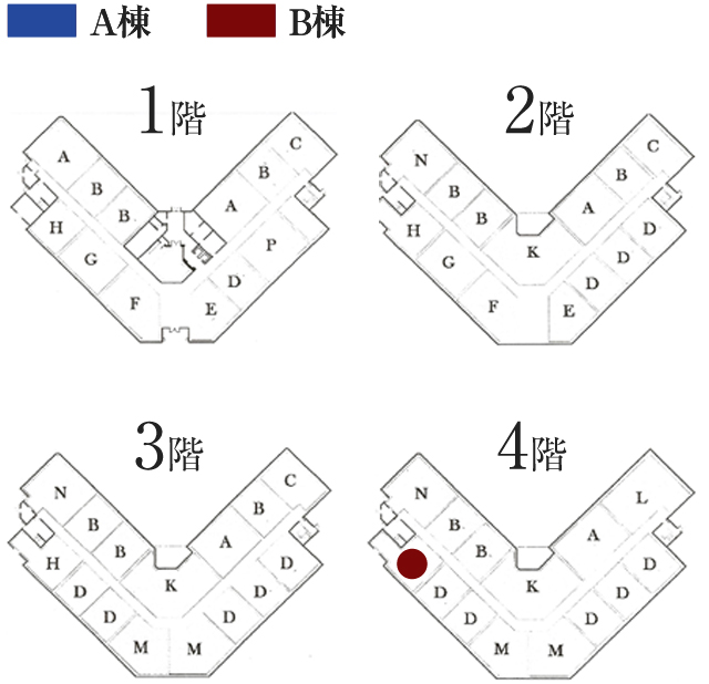 Room Type H2