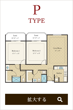 ROOM TYPE P