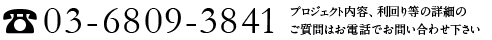 03-6809-3841　プロジェクト内容、利回り等の詳細のご質問はお電話でお問い合せ下さい